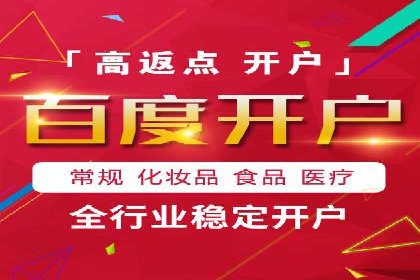 SEM广告投放的精准定位与优化案例